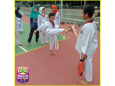 Ekstrakurikuler Taekwondo