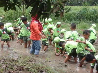 Belajar Menanam 