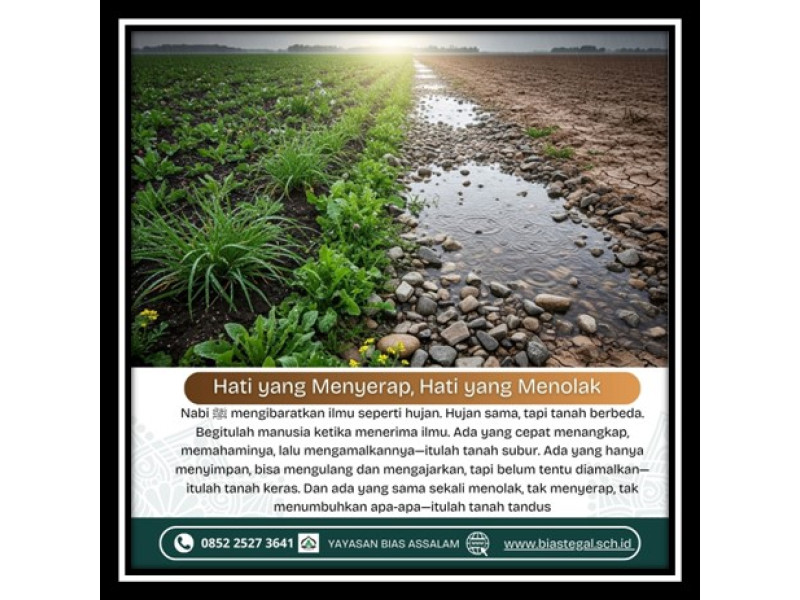 Hati yang Menyerap, Hati yang Menolak